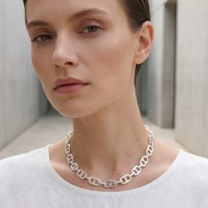 Envy Short Silver Link Necklace