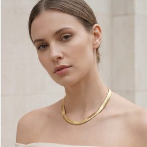Envy Envy Short Gold Snake Chain Necklace